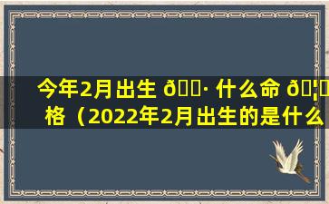 今年2月出生 🌷 什么命 🦍 格（2022年2月出生的是什么命）